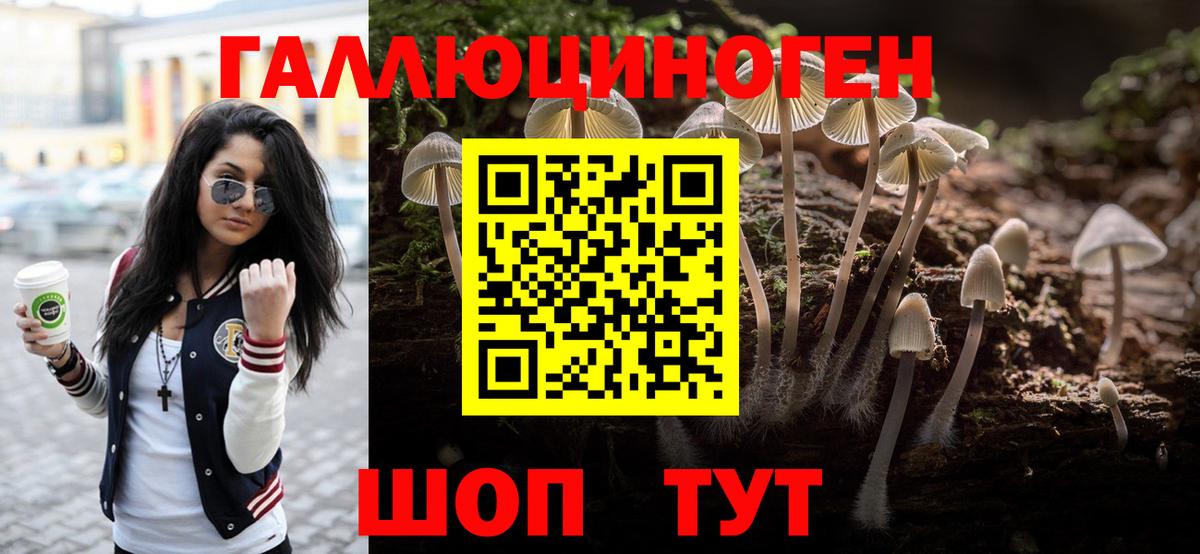 Галлюциногенные грибы GOLDEN TEACHER Качканар