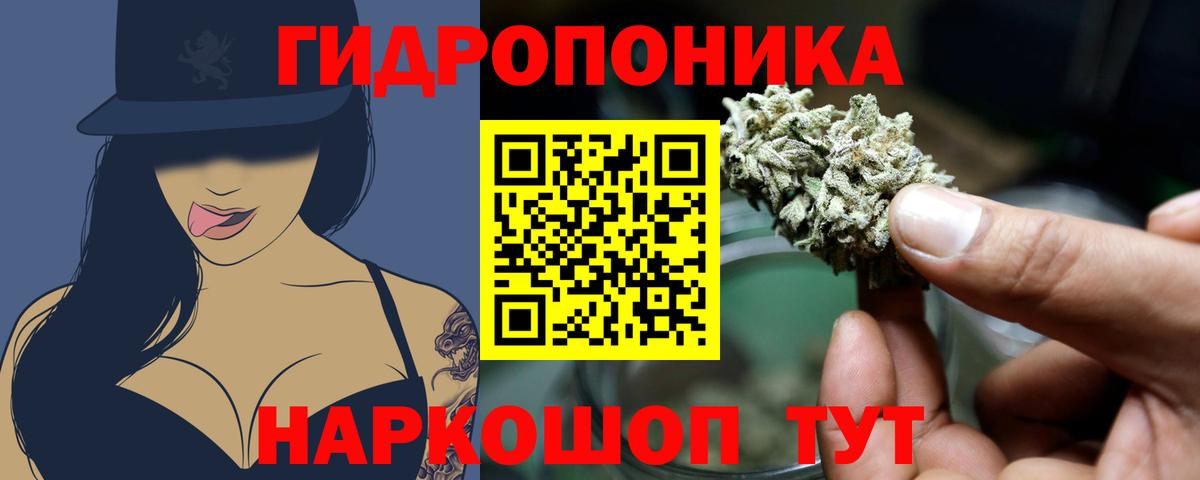 Бошки марихуана план  Шишки марихуана тримм  Вход с VPN  Качканар  Шишки марихуана план 